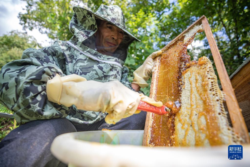 快乐牛牛官网下载